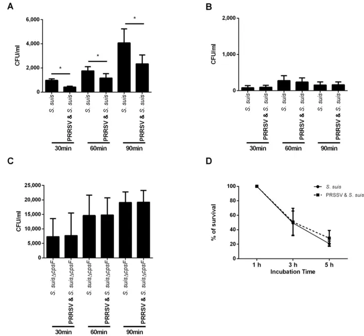 Fig 2. Effect of PRRSV infection on internalization of S . suis by porcine bone marrow-derived dendritic cells (BMDCs) and