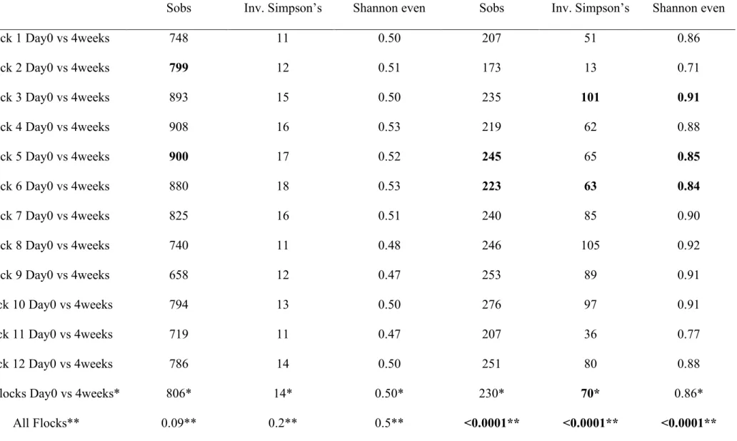 Table 3. Microbiota structure comparison of feces and eggshells across broiler breeder flocks according to the time and the  flock
