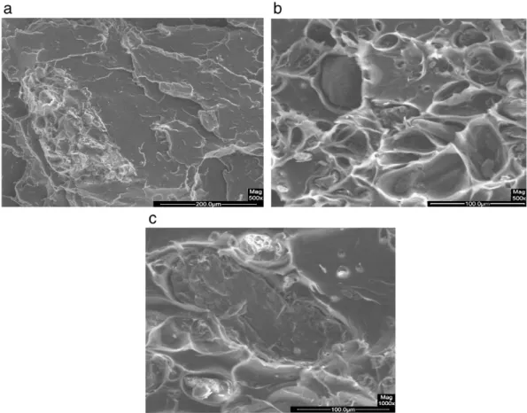 Fig. 10. SEM cross section analysis of fracture surface under ﬂexion of PLA/olive pit powder biocomposites (a) magnitude ×500 — 10 wt.% olive pit powder A, (b) magnitude ×500 — 15 wt.% olive pit powder B and (c) magnitude ×1000 — 15 wt.% olive pit powder C