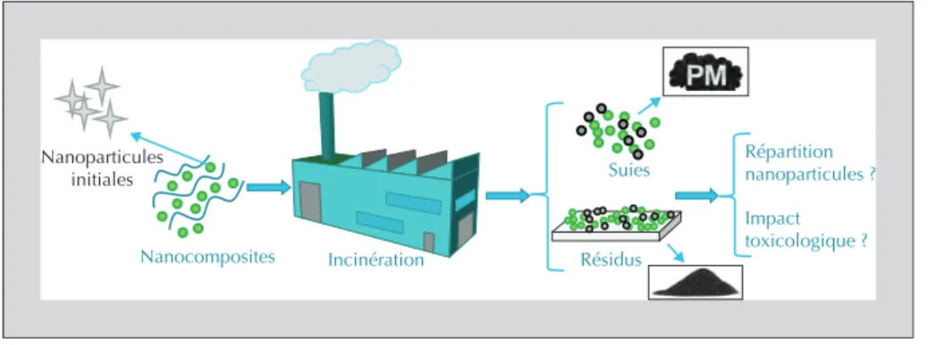 Figure 3. Schématisation de la structuration du projet Nano Tox ’ In.