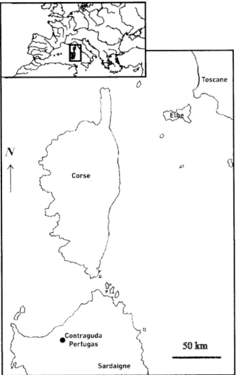 Fig. 1 — Localisation du site de Contraguda (Perfugas) en Sardaigne. 