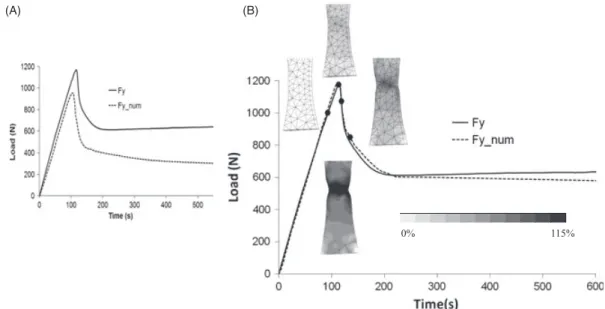 Figure 13: Mesh and boundary conditions for the finite element analysis