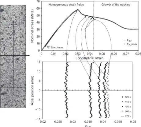Figure 2: Nominal stress–strains curve (r Ny ) e y ) (r Ny ) E y ): strain profiles of longitudinal Lagrangian strain (E y ) evaluated by DIC on the vertical axis of symmetry (R2 specimen)