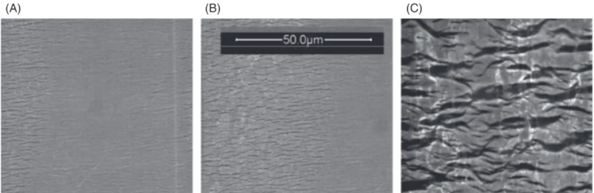Figure 9: SEM micrograph of R2 taken from the same sample area at three different nominal strain levels: (A) e y = 2.5% (B) e y = 2.8%