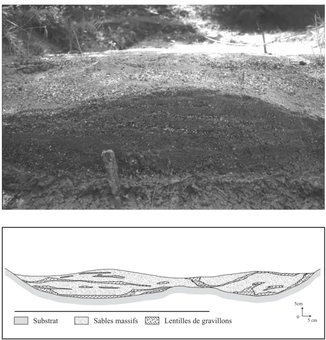 Fig. 11 - A, coupe frontale réalisée au niveau du front de progradation. Noter la stratifi  cation irrégulière par ségrégation du sable et  des gravillons