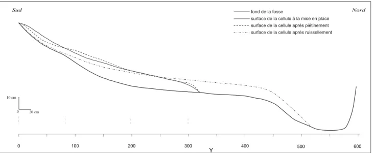 Fig. 6 - Profi  l longitudinal de la celulle à sa mise en place, après piétinement, et après ruissellement.