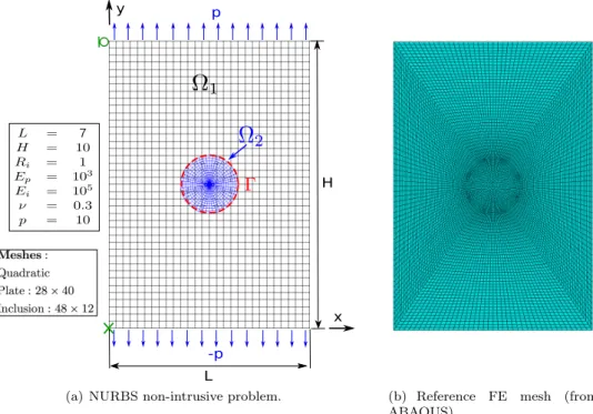 Figure 11: Plate with a central inclusion: description and discretization of the problem.