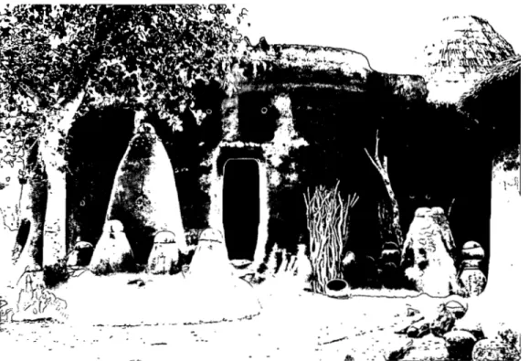 Figure 9. La vieille Takienta de Santy Alphonse, chef canton de Warengo. 