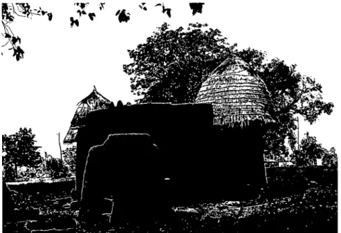 Figure  19.  Vue  de  la Takienta  du  maître maçon Simbia  construite  en  2007  sur les ruines  de  la Takienta  de  son père