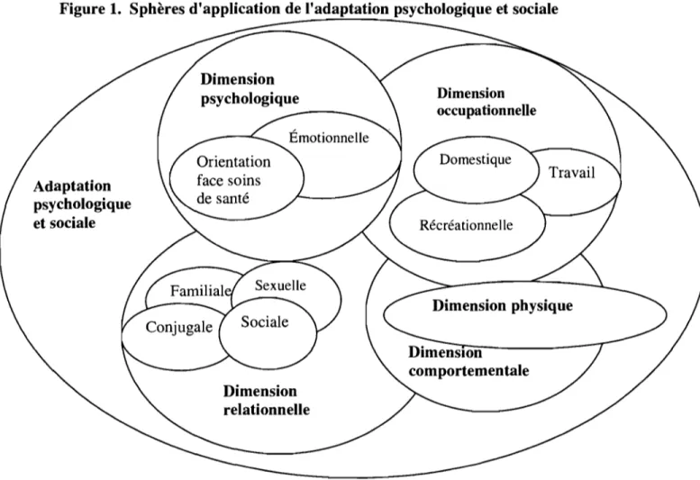 Figure 1.  Sphères d'application de l'adaptation psychologique et sociale  Adaptation  psychologique  et sociale  Dimension  occupationnelle 