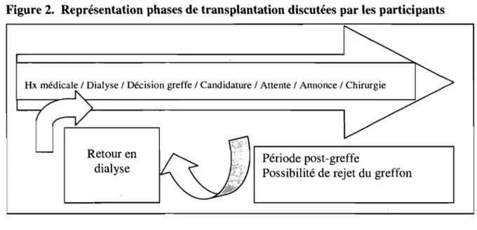 Figure 2.  Représentation phases de transplantation discutées par les participants 