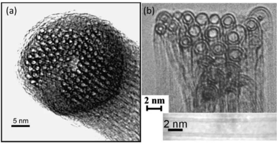 Figure 3.2 – Images par microscopie électronique à transmission des sources de nano- nano-tubes (a) monoparois et (b) biparois