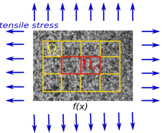 Figure 1. Reference image f with its underlying mesh for FE-DIC. Note that only the d.o.f in domain Ω r are regularized.