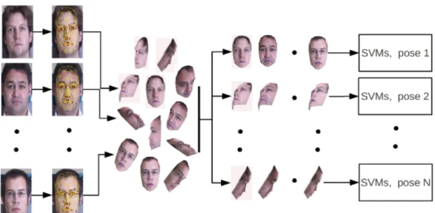Figure 2: From left to right of training process: 143 frontal images, landmark annotation and 3D model alignment, synthesized images rendering, and pose-wise SVMs training.