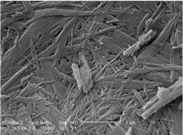 Fig. 3 shows a SEM micrography of the attapulgite treated with HCl 0.5 M.