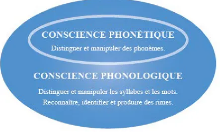 Figure 3 : La conscience phonologique        