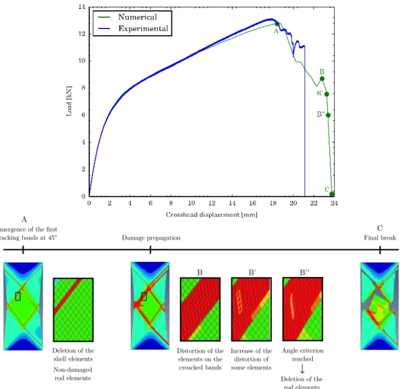 Figure 5: Damage evolution during the quasi-static tensile simulation on two plies carbon/epoxy ±45 ◦