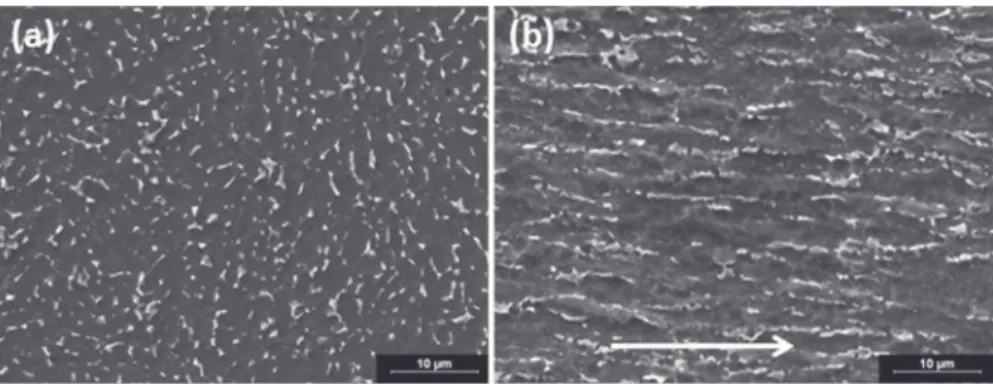 Fig. 2. SEM views (a) in radial direction and (b) in longitudinal direction (arrow) of forged bar microstructure, previously pickled in a mixed 4 w%HF–3 w%HNO 3 solution for 10 s at ambient temperature.