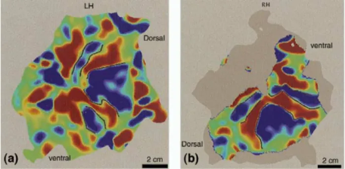 Fig. 3 shows two examples of such delineated maps.