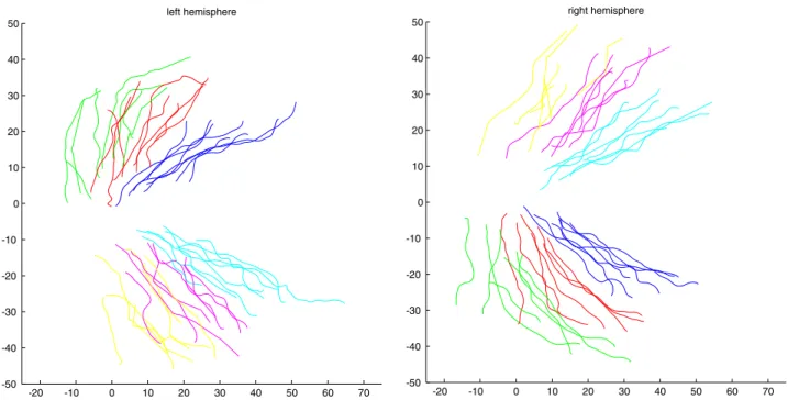 Fig. 5 shows the borders locally registered onto the intrinsic coordinate system for both hemispheres