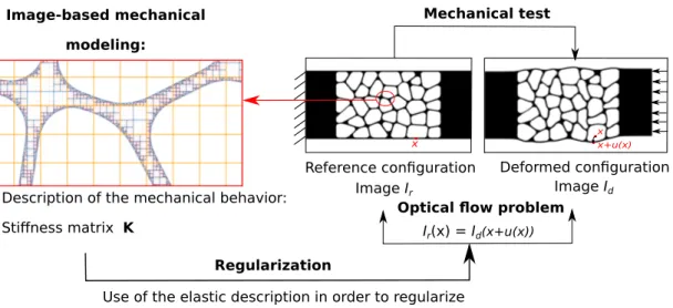 Figure 1: Synoptic view of the proposed approach to Digital Image Correlation (DIC) to perform displacement mea- mea-surements in cellular materials below the cell scale
