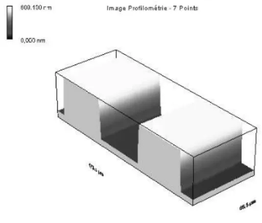 Figure 10: A 3D view of a directly written grating in photoresist obtained using an interferometric microscope