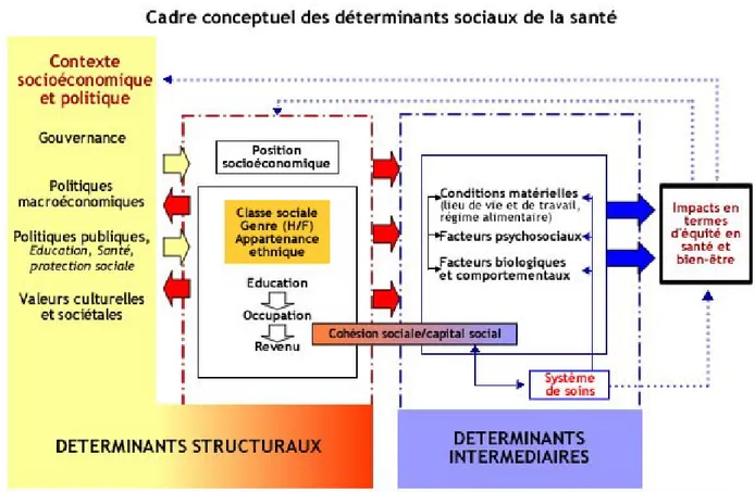 Figure 2 : Modèle de la CSDH/CDSS (2007)  