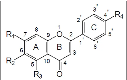 FIGURA 4 - Estruturas químicas dos doze isômeros de isoflavonas mais estudados.