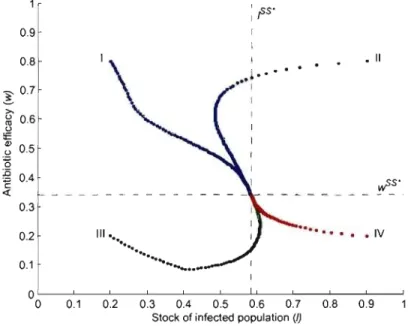 Figure  1.10:  Convergence  to  steady state in  the social  optimum 