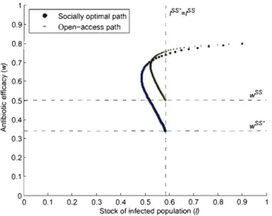Figure  1.12:  Comparison  of the socially  optimal  and  open-access  paths 