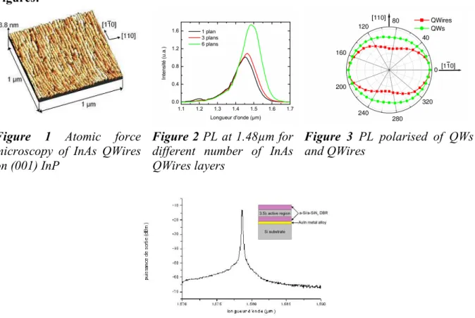 Figure  1  Atomic  force  microscopy  of  InAs  QWires  on (001) InP 