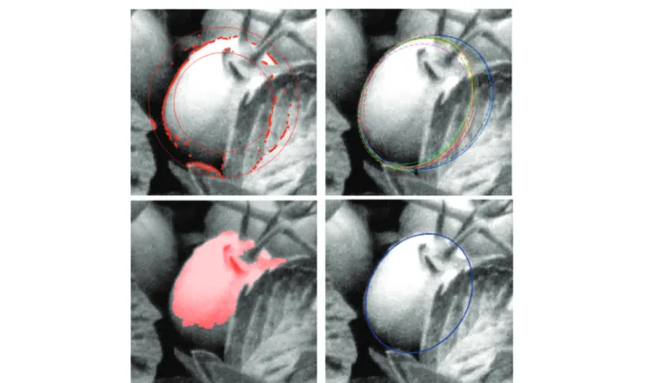 Fig. 12 Initialization of the elliptic active contour model. (upper left) Selection of candidate contour points; (upper right) selection of N a ellipses, through RANSAC algorithm; (lower left) detection of the non-occluded parts of the tomato, ω i+1 t , th