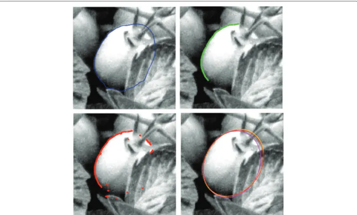 Fig. 13 Tomato segmentation. (upper left) Result provided by the elliptic active contour model; (upper right)(lower left) two sets of contours points extracted from (upper left); (lower right) four elliptic approximations