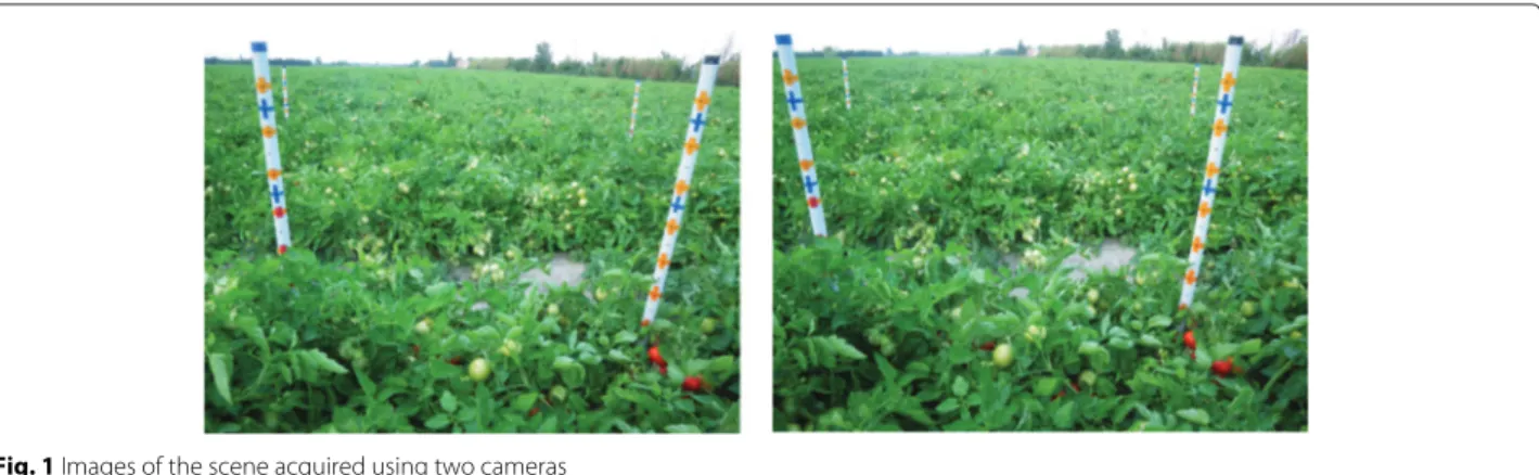 Figure 2 shows images of three different tomatoes. It is worth noting the variation in the amount of occlusion