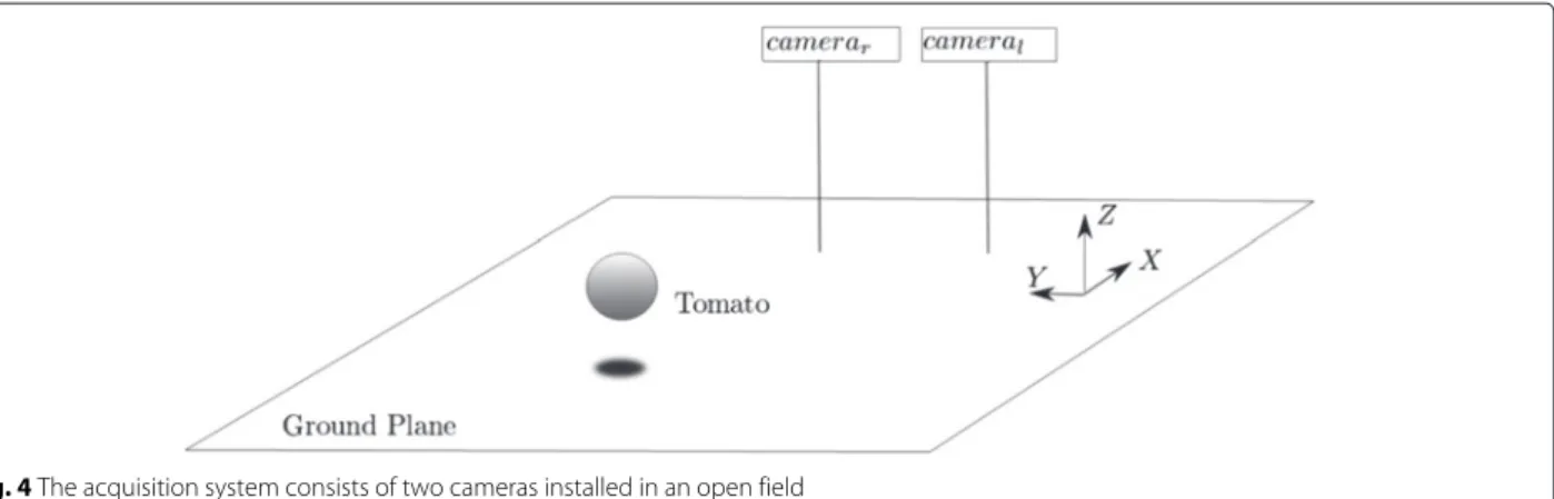 Fig. 4 The acquisition system consists of two cameras installed in an open field