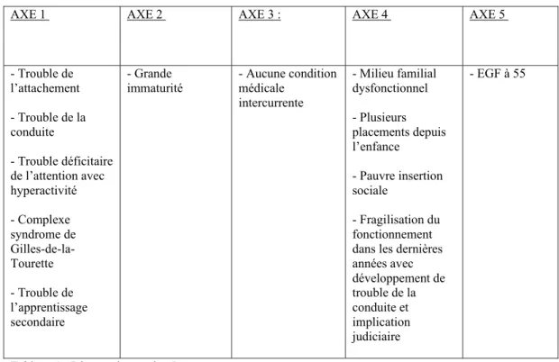 Tableau 1 : Diagnostics sur les 5 axes  