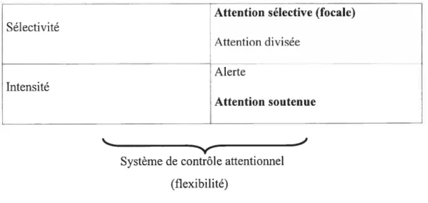 Figure 2. Le modèle d’attention adapté de van Zomeren et Brouwer (1994). Le texte en caractère gras correspond aux fonctions qui sont étudiées dans la présente thèse.