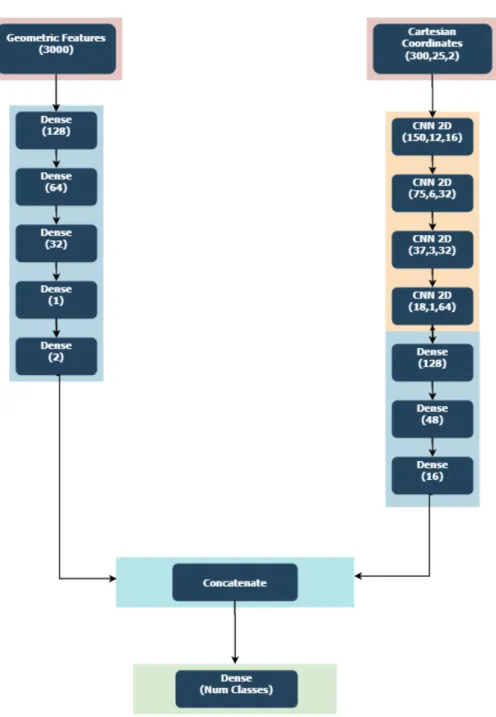 Figure 4. The multi-branch architecture of SPI-Net: the left branch focuses on the evolution of Geometric features relative to certain identified key-points over time