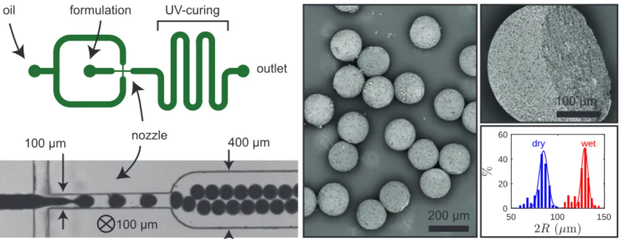 Figure 7. Batch particles produced by manual emulsification followed by UV-curing. (A) low density of calcite (before and after removal of calcite, left and right respectively where the calcite particles show as bright spots); (B) high density of calcite a