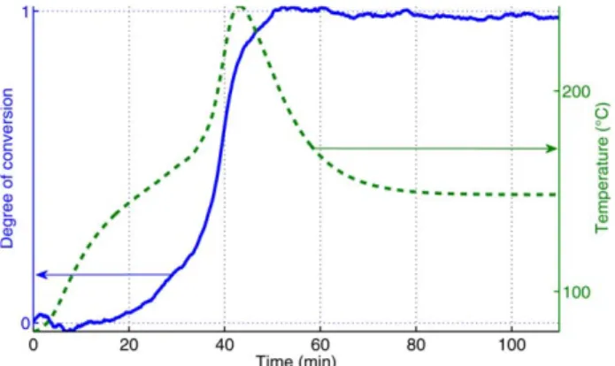 FIG. 7. Experimental degree of conversion and temperature evolution during the curing process (SI)