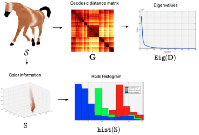 Fig. 4 Proposed method includes a shape descriptor from the geodesic distance matrix and a colour descriptor from the histogram representation of RGB colour information