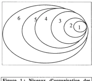 Figure 1: Niveaux d’organisation des