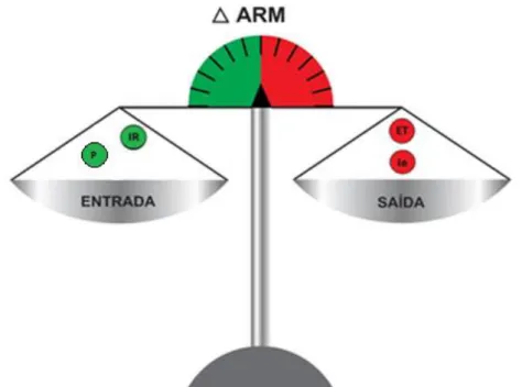 Figura 2.1 – Representação esquemática da relação entre os elementos do balanço hídrico no  solo