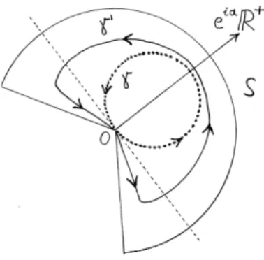 Figure 1.1. Integration paths of the Borel transformation in direction α.