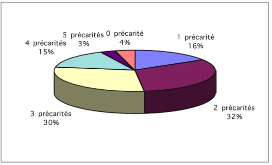 Figure 1. Le cumul des précarités 61