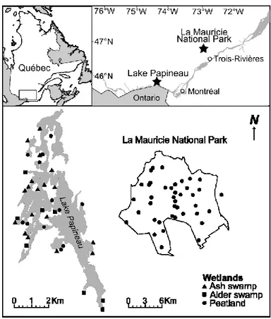 Figure 2.1. Location and typology of the 38 sampled wetlands on the shores of Lake Papineau,  and the 40 peatlands sampled in La Mauricie National Park, Québec (Canada) 