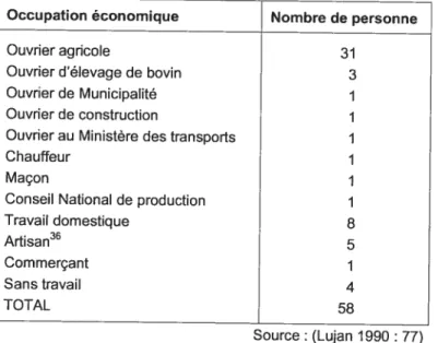 TABLEAU VlIIl : Occupations économiques des 58 chefs de famille de Quitirrisi (1973) Occupation économique Nombre de personne