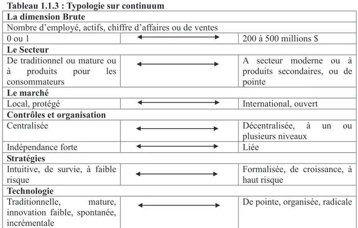 Tableau 1.1.3 : Typologie sur continuum   La dimension Brute 