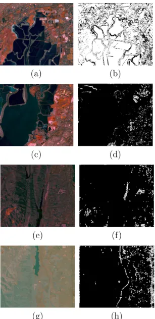 Figure 4.4: Cluster-prominence variance feature segmentations