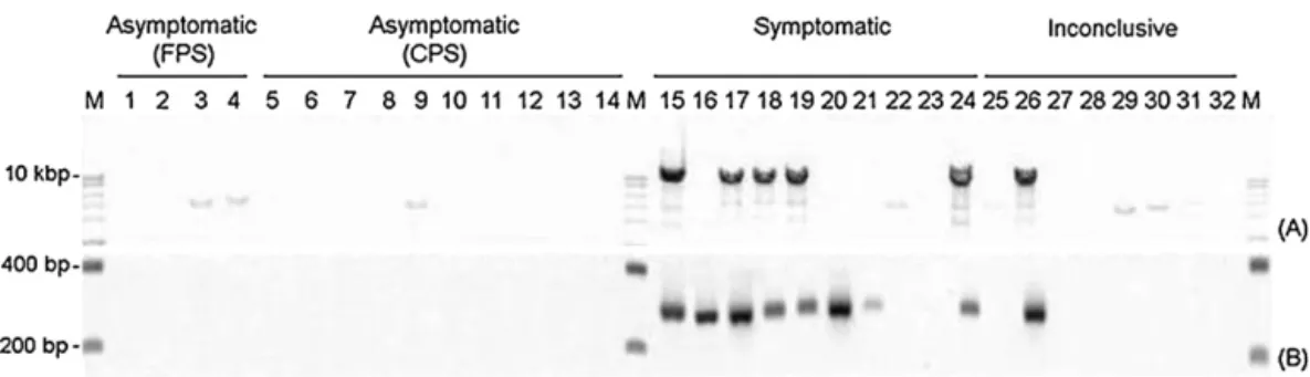 Fig. 1. Comparison of three methods for diagnosis of PMeV in papaya. Papaya plants (n = 32) were visually grouped as symptomatic, asymptomatic and inconclusive for papaya sticky disease